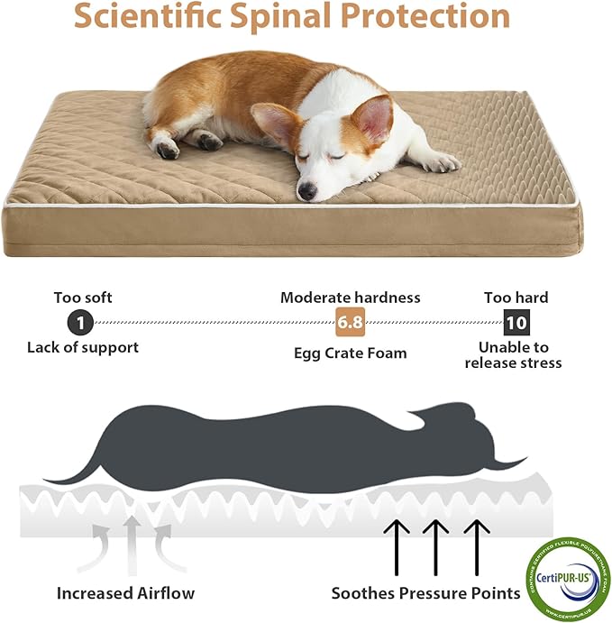 WNPETHOME Orthopedic Dog Bed for Crate, Waterproof Extra Large Dogs Bed with Removable Washable Cover, Multi-Needle Quilting Dogs Crate Beds
