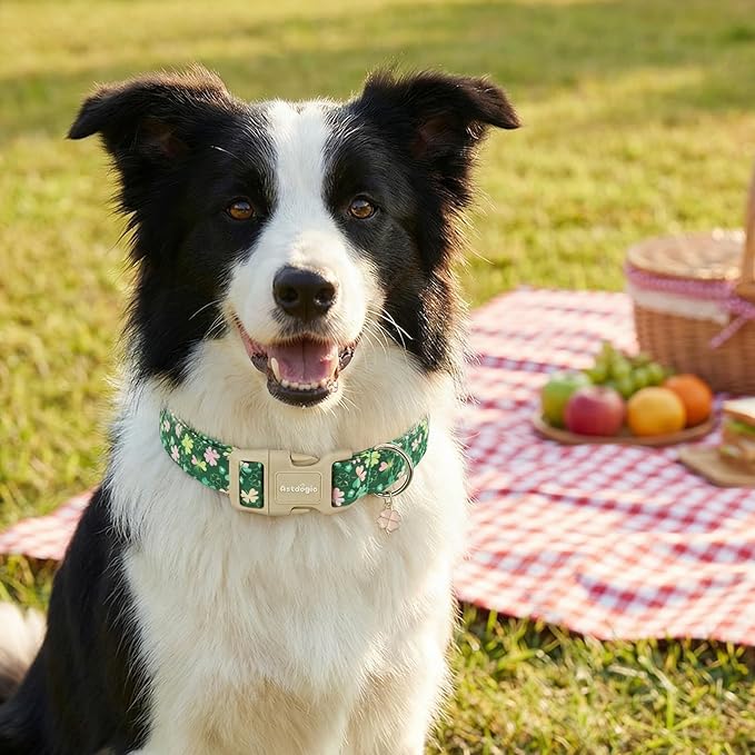 St. Patrick's Day Dog Collar,Green Clover Lucky Shamrock Puppy Collar,Adjustable Spring Cotton Collars Gifts for Small Medium Large Dogs,Dog Accessories S