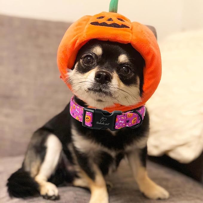Halloween Dog Collar, Cute Pumpkin Bat Pattern Halloween Purple Puppy Collar, Soft Adjustable Cotton Dog Collars for Small Medium Large Boy&Girl Dogs S