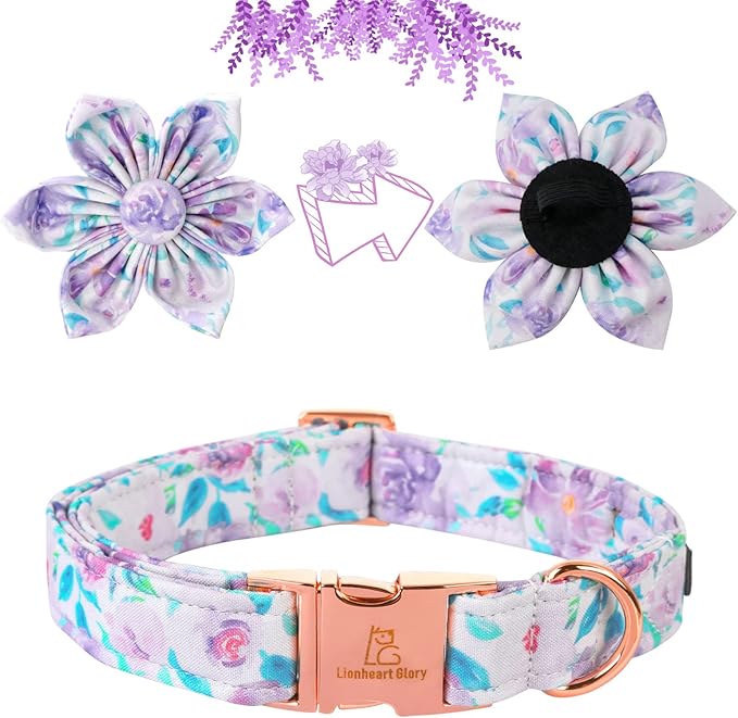 Lionheart Glory Dog Collar, Purple Dog Collar with Flower, Cute Floral Pattern Pet Collar Adjustable Dog Collar for Medium Dogs