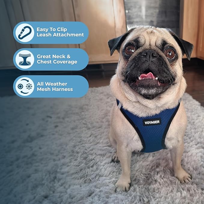 Best Pet Supplies Voyager Step-in Air All Weather Mesh Harness and Reflective Dog 5 ft Leash Combo with Neoprene Handle, for Small, Medium and Large Breed Puppies - Blue/Black Trim, Medium