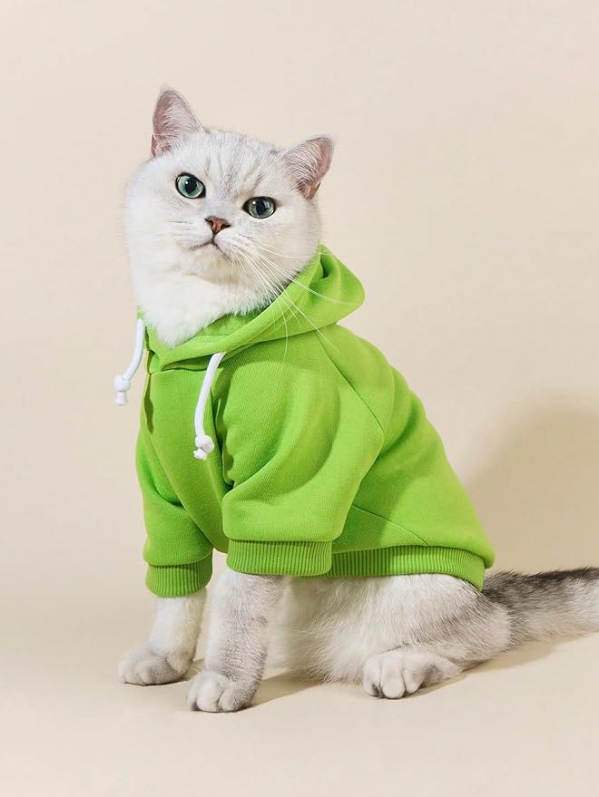 QWINEE Basic Dog Hoodie Sweatshirt Puppy Sweater Warm Cat Costumes Pet Clothes for Chihuahua Puppy Kitten Small Medium Dogs Green Medium