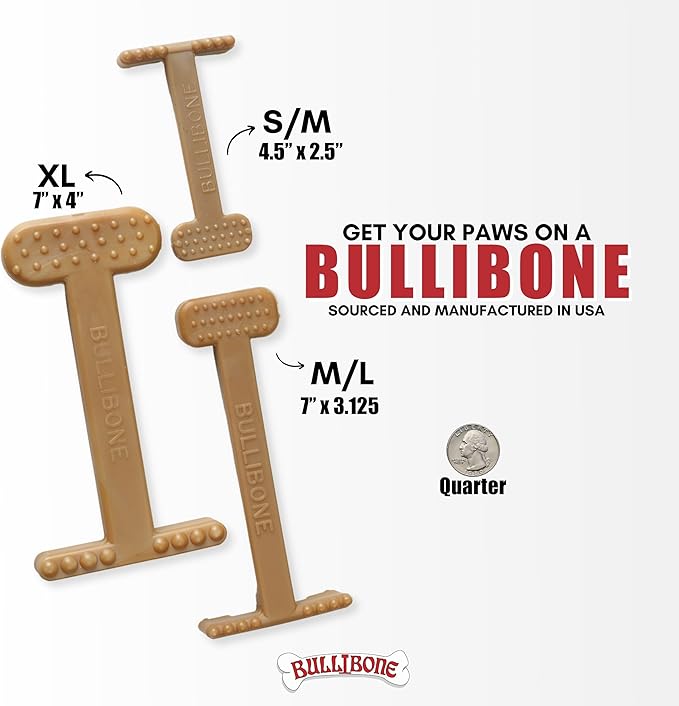 Bullibone Nylon Dog Chew Toy for Aggressive Chewers - Dental Hygiene Bone with Beef Flavor, Durable Tough Chew Toys for Small Dogs, Indestructible Dog Bone - 3 Pack