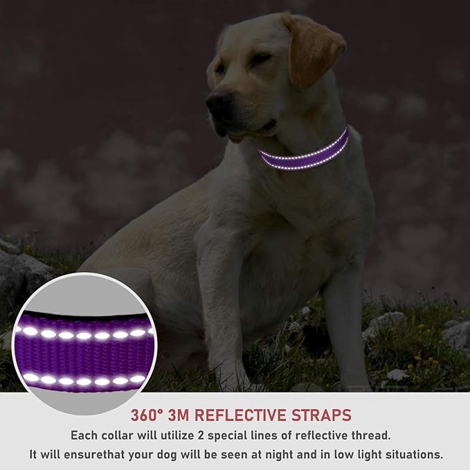 Reflective Dog Collar with Buckle Adjustable Safety Nylon Collars for Small Medium Large Dogs, Purple M