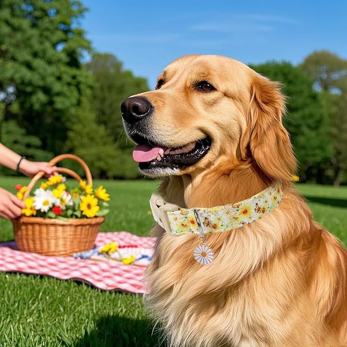 Sunflower Dog Collar, Adjustable Cute Dog Collars for Medium Dogs, Lightweight Summer Fall Pet Collar with Quick-Release Buckle for Boy&Girl Dogs M