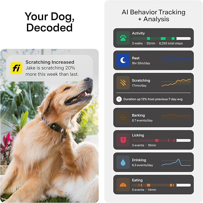 New Fi Series 3+ Smart Dog Tracker Collar [6 Month Membership Included] GPS Tracker for Dogs with Health & Behavior Monitoring, Escape Alerts, Waterproof, LED, Apple Watch Compatible (Gray, X-Large)
