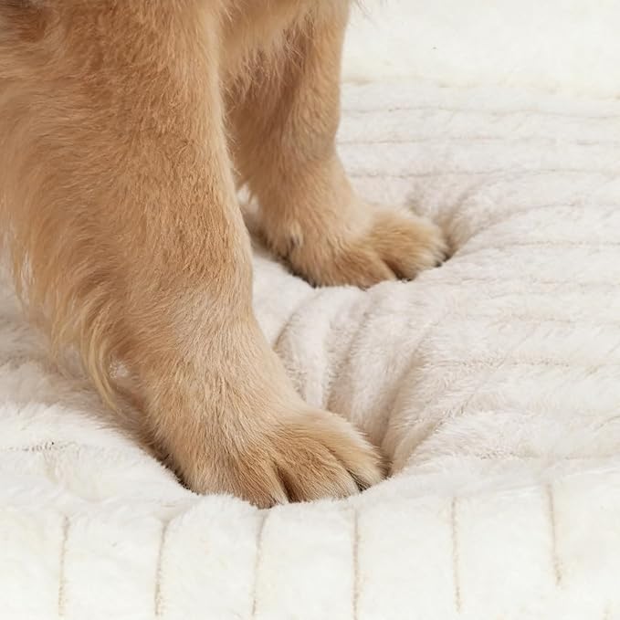 Dog Bed for Small & Medium Dogs – Calming Furry Puppy Bed with Washable Removable Cover, Anti-Slip Bottom & Orthopedic Support Foam, Rectangle Pet Cuddler for Indoor Cats/Dogs, 25"x21"x4", Cream