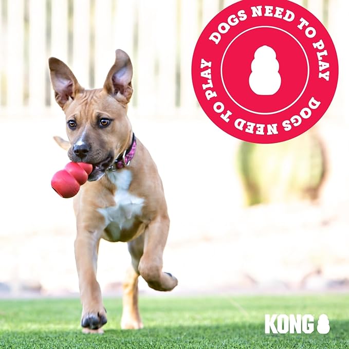KONG Puppy - Natural Teething Rubber Chew Toy for Dogs - Stuffable Dog Toy for Extended Playtime - Chew & Fetch Toy for Puppies - for Medium Puppies - Blue