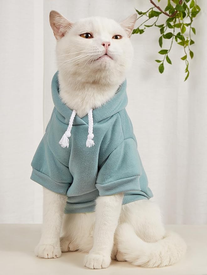 QWINEE Basic Dog Hoodie Sweatshirt Puppy Sweater Warm Cat Costumes Pet Clothes for Chihuahua Puppy Kitten Small Medium Dogs Black Green and Grey Medium