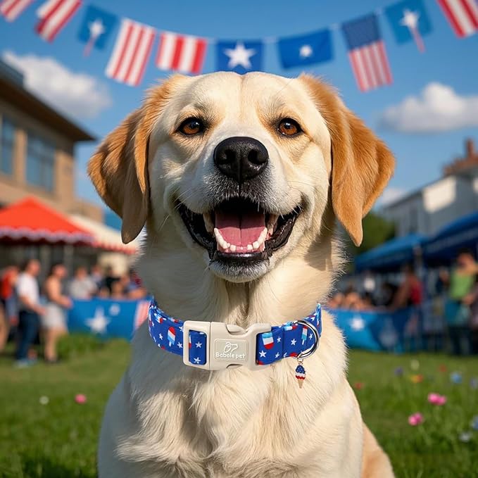 4th of July Dog Collar, Summer Popsicle Patriotic Dog Collars for Giant Large Dogs, Adjustable Lightweight Quick-Release Buckle Collar for Boy&Girl Dogs XL