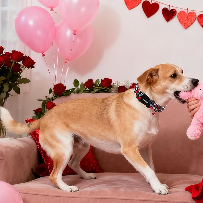 DOGWONG Red Heart Dog Collar, Cute Valentine Collar, Valentine's Day Dog Collar with Strong Plastic Buckle for Small Medium Large Dogs,S