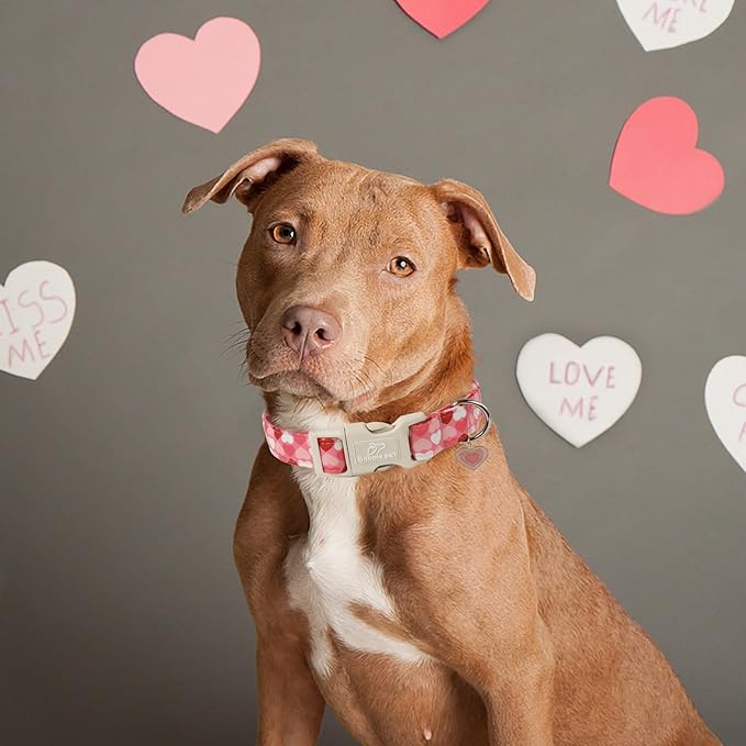 Valentines Dog Collar for Giant Large Dogs - Cute Valentine Pink Hearts Girl Dog Collars, Adjustable Girly Puppy Collar with Quick Release Buckle for Female Dogs XL