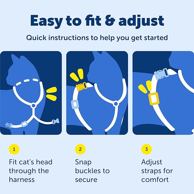 PetSafe Come with Me Kitty Cat Harness & Bungee Leash - Comfortable Cat Harness with Lightweight Bungee Leash for Outdoor Fun - More Secure Walks - Large - Royal Blue