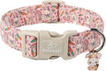 Easter Dog Collar for Small Dogs - Pink Girly Bunny Dog Collars, Cute Girl Dogs Easter Collar, Adjustable Female Spring Holiday Pet Collars with Quick Release Buckle XS