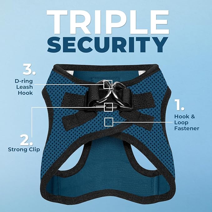 Best Pet Supplies Voyager Step-in Air All Weather Mesh Harness and Reflective Dog 5 ft Leash Combo with Neoprene Handle, for Small, Medium and Large Breed Puppies - Blue/Black Trim, X-Large