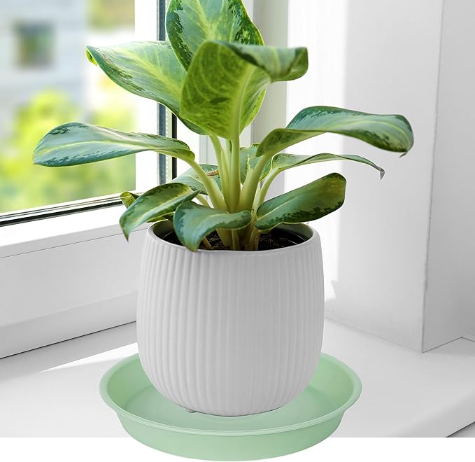 6 Pack of 10 inch Plant Saucer Blue, Heavy Duty Plastic Plant Saucer 10 inch Round, Flower Plant Saucers for Indoors, Plant Trays for Planter 8"/9"/10" (10", Light Green)