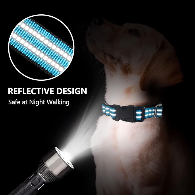 Martingale Dog Collar, Adjustable Nylon Reflective Collar with Buckle No Pull Dog Collar for Small Medium Large Dogs（Blue L