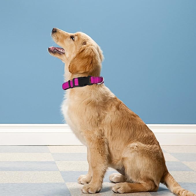 Reflective Dog Collar, Adjustable Soft Neoprene Padded Nylon Pet Collars with Buckle for Large Dogs, Rose Red,L
