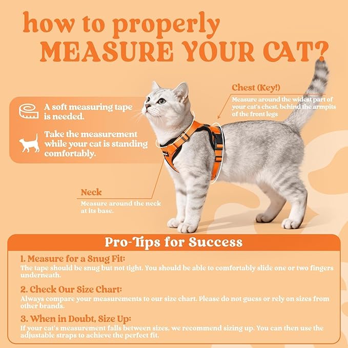 rabbitgoo Cat Harness and Leash for Walking, Escape Proof Soft Adjustable Vest Harnesses for Cats, Easy Control Breathable Reflective Strips Jacket, Orange, S