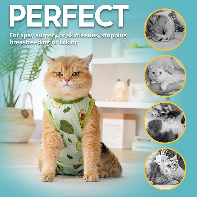 Avont Cat Recovery Suit - Kitten Onesie for Cats After Surgery, Cone of Shame Alternative Surgical Spay Suit for Female Cat, Post-Surgery or Skin Diseases Protection -Avocado(L)