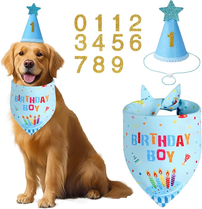 Dog Birthday Party Supplies with Hat Bandana Numbers, Light Blue Dog Birthday Set for XLarge Large Pets Puppy Boy
