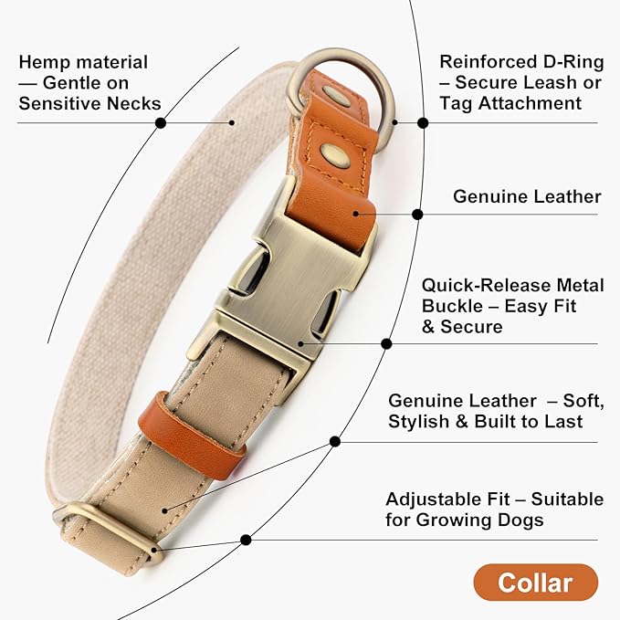 Plutus Pet Genuine Leather & Hemp Dog Collar – Adjustable Heavy Duty Pet Collar with Quick Release Metal Buckle, Soft & Stylish for Puppy and Small, Medium, Large Dogs (Beige, XS)