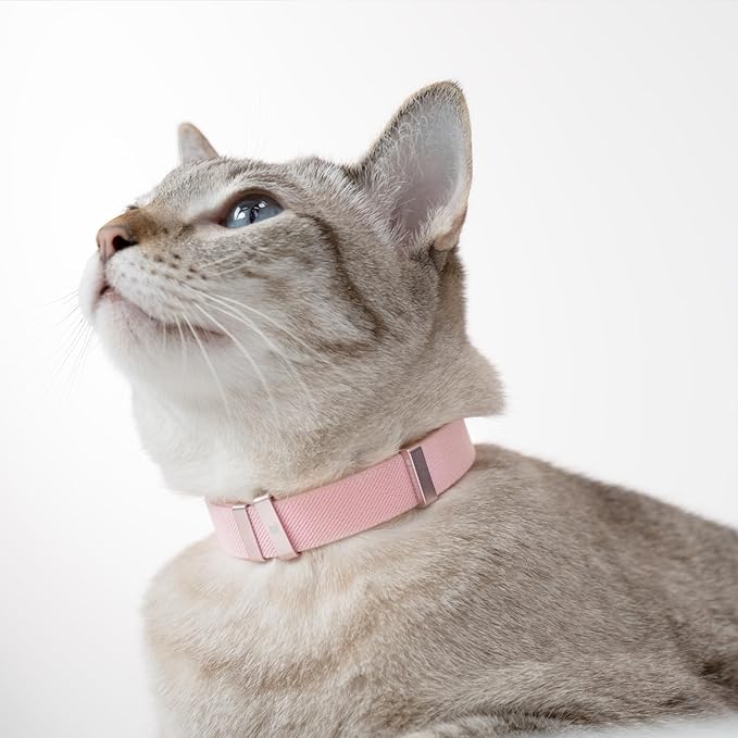 Safety Cat Collar - U.S. IDA Gold Award Design, Stretchy Elastic Quick Release Non Breakaway Cat Collar Light Weight for Kitten All Small Medium Large Cats (Burgundy, M (7.8-15.7 inch))