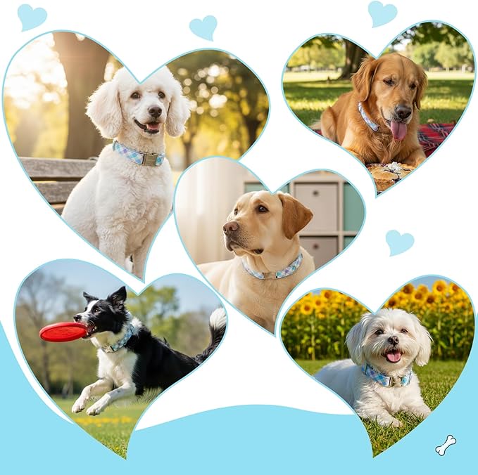 Cotton Collar for Dog，Soft Adjustable Dog Collars for Small Dogs, Cute Dog Collar with Blue & White Plaid for Small Medium Large Dogs, Perfect for Girl or Boy Dog Collars-S