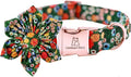 Lionheart Glory Cute Floral Pattern Pet Collar - Adjustable for X-Small Dogs