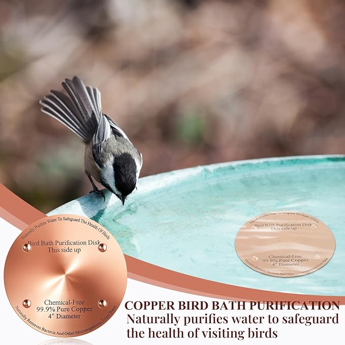 4 Pcs Bird Bath Copper Disk, 0.6mm Thick Reinforced 99.99% Pure Copper Birdbath Purification Disk, with 4 Point Support for Outdoor Birdbaths Bowls Cleaner, 4 Inch (Classic)