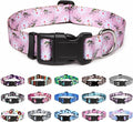 Mercano Adjustable Dog Collar - Special Design Patterns, Soft Nylon Comfortable Durable Pet Collar for Small Medium Large Dogs (XS, Pink White Flower)