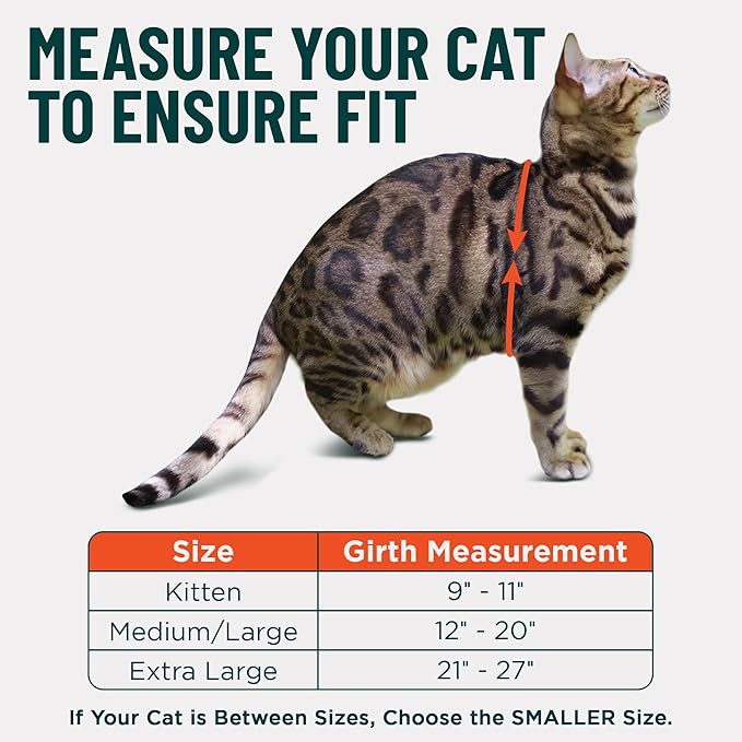 Houdini™ Escape Proof Cat Harness and Leash Set by OutdoorBengal – Red, Large Cat Harness for Walking Big Cats