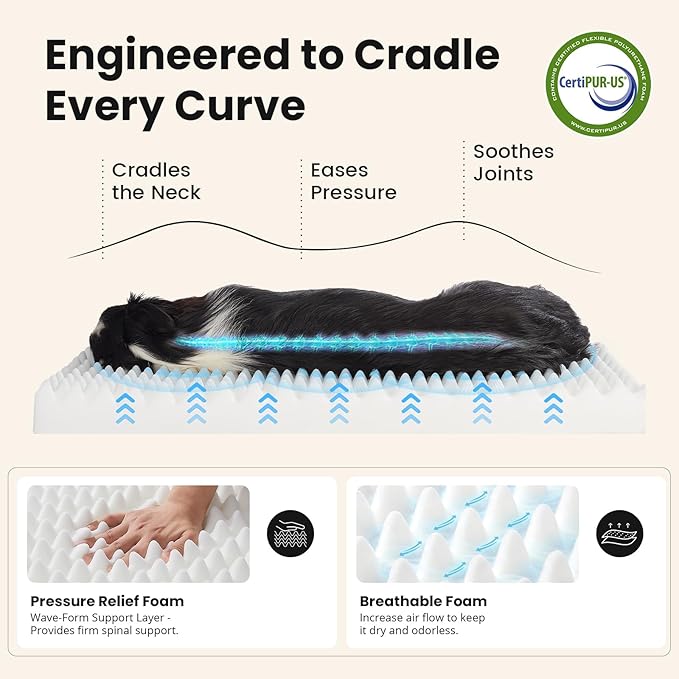 OhGeni Orthopedic Waterproof Dog Bed for Medium Large Dogs, Machine-Washable Removable Cover in Easy-Clean Fabric, High Density Foam & Easy-Carry Handle, Suitable for Crate, 35 inch (Black)