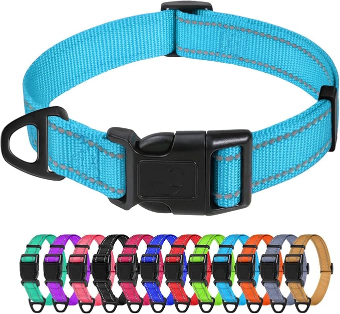 TagME Small Dog Collar, Adjustable Reflective Nylon Pet Collar with Quick Release Buckle, Sky Blue, 5/8" Width