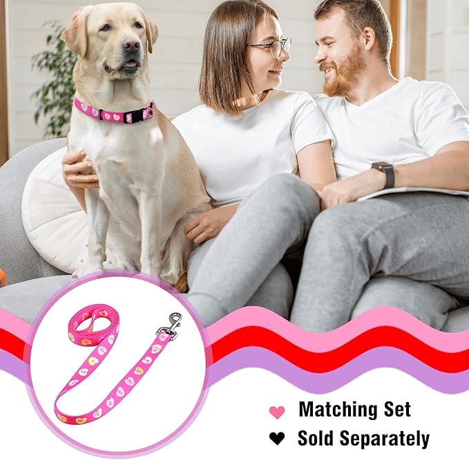 Native Pup Valentine’s Dog Collar- Valentines Day Pet Collars- Valentine Girly Hearts- Pink Red Heart- Cute Boy Girl Puppy Gift- Adjustable for Small, Medium, Large Breeds (Candy Hearts, Small)