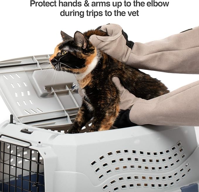 PetFusion Multipurpose Pet Grooming Gloves Great for Trips to Vet and Bathing, Puncture, Scratch & Water Resistant