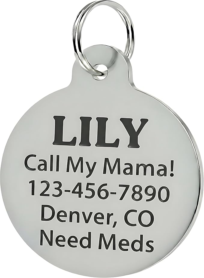 Bad Tags Personalized Dog and Cat ID Tags in 25+ Designs and 2 Sizes - 5 Lines of Custom Engraved Text - Funny Cute Personalized Pet Tags (I Still Live with My Parents, Small (1 inch))