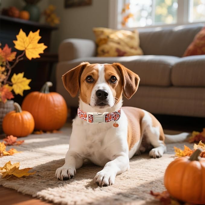 DOGWONG Pumpkin Dog Collar- Cute Pink Fall Dog Collars Adjustable Maple Fall Dog Collar for Small Medium Large Dogs M
