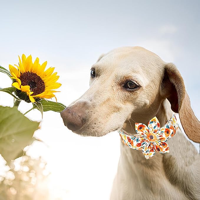 Lionheart Glory Floral Dog Collar with Flowers - Soft, Durable & Adjustable for Large Dogs