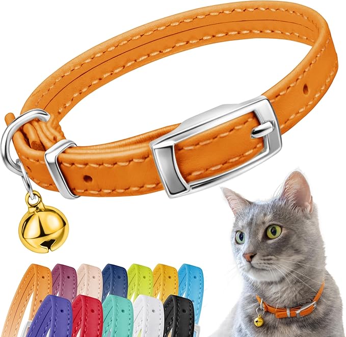 CollarDirect Leather Cat Collar, Kitten Collar with Removable Bell Black Blue Red Orange Lime Green (6-7 Inch, Orange)