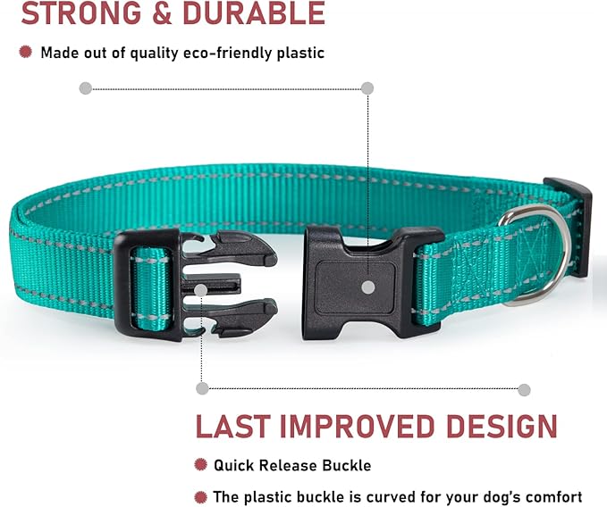 Reflective Dog Collar with Buckle Adjustable Safety Nylon Collars for Small Medium Large Dogs, Green S