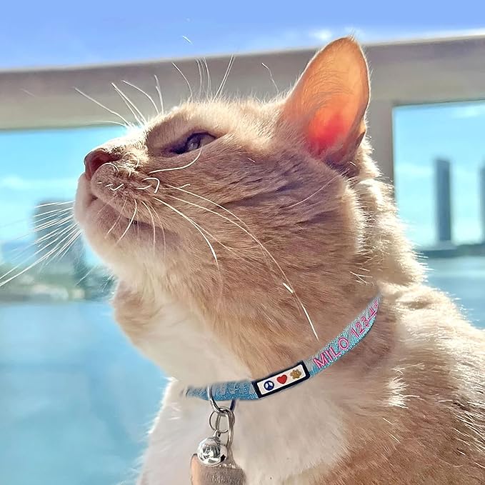 Pawtitas Personalized Teal Reflective Cat Collar – Adjustable Custom Collar with Safety Buckle, Removable Bell, and Engraved Name & Phone Number for Kittens and Adult Cats