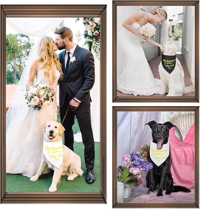 SZEE Wedding Decorations for Pets, 2 Pack My Humans are Getting Married Dog Bandanas, Engagement Party Decorations, Wedding or Engagement Gift for Couples, Dog Wedding Bandanas (Gold, S)