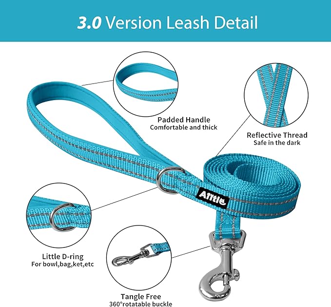 AIITLE Easy Walk Dog Harness and Leash Set - Pet Supply No Pull, Step in Adjustable Dog Harness with Padded Vest for All Weather, Dog Harness No Choke Over, Easy to Put on Medium Dogs Hot Pink L
