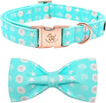 Elegant Little Tail Bowtie Dog Collar for Small to Large Dogs