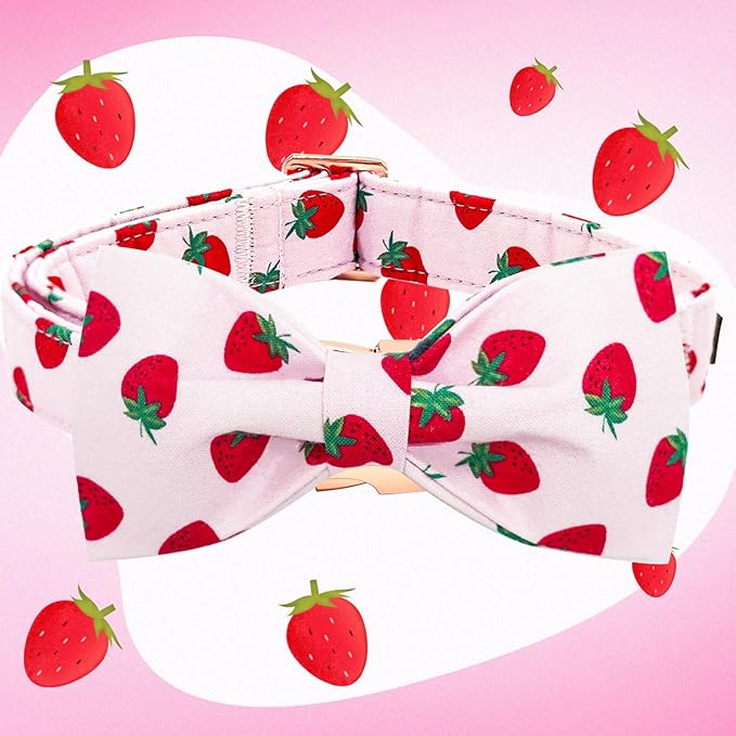 Elegant little tail Dog Collar, Strawberries Print Pet Collar Summer Dog Collar Durable Metal Buckle Dog Collars Cotton Pet Adjustable Dog Collars for Small Dogs