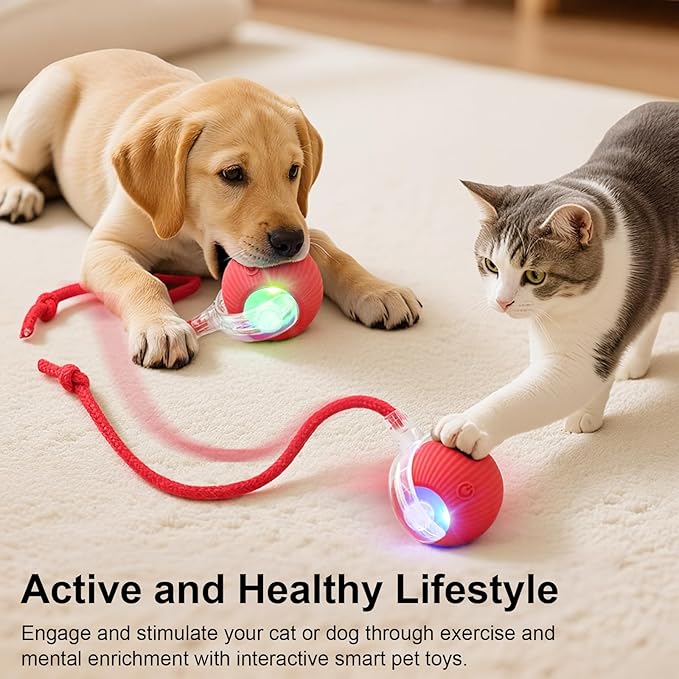 Interactive Electric Automatic Rolling Moving USB Rechargeable Self Activated Play Stimulation Toy Smart Chase Teaser Ball with Speedy Tail Rope for Bored Adult Indoor Cats and Dogs, Pink