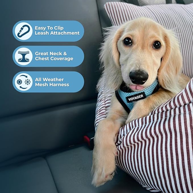Best Pet Supplies - All Weather Mesh / Plush, Reflective, No Pull Harness for Small, Medium Dogs, Cats - Secure with Hook & Loop Fastener, Buckle, Double D-Rings - Baby Blue/Black Trim, L