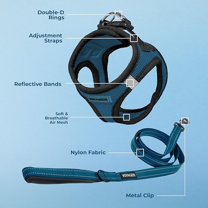 Best Pet Supplies Voyager Step-in Air All Weather Mesh Harness and Reflective Dog 5 ft Leash Combo with Neoprene Handle, for Small, Medium and Large Breed Puppies - Blue/Black Trim, X-Large