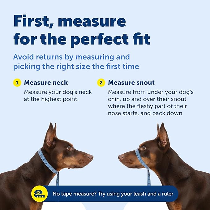 PetSafe Gentle Leader Headcollar No-Pull Dog Collar - Helps Improve Walks - Durable Nylon Construction - Padded Nose Loop - Adjustable Fit - Comfort Walking Halter - X-Large, Black